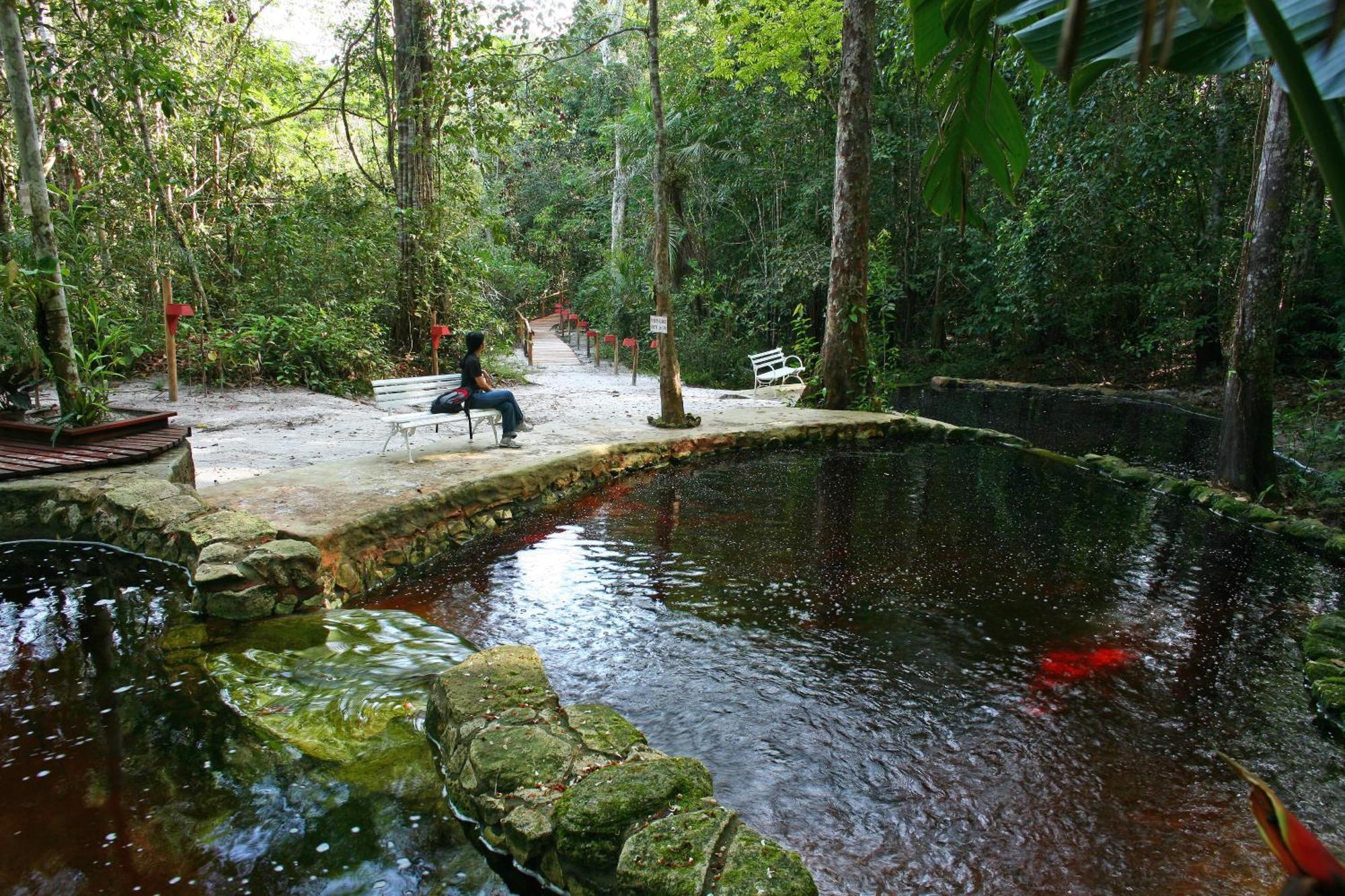 Amazon Ecopark Jungle Lodge Manaus Dış mekan fotoğraf