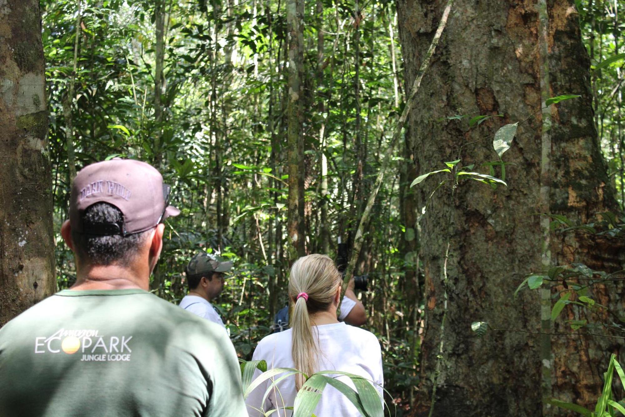 Amazon Ecopark Jungle Lodge Manaus Dış mekan fotoğraf