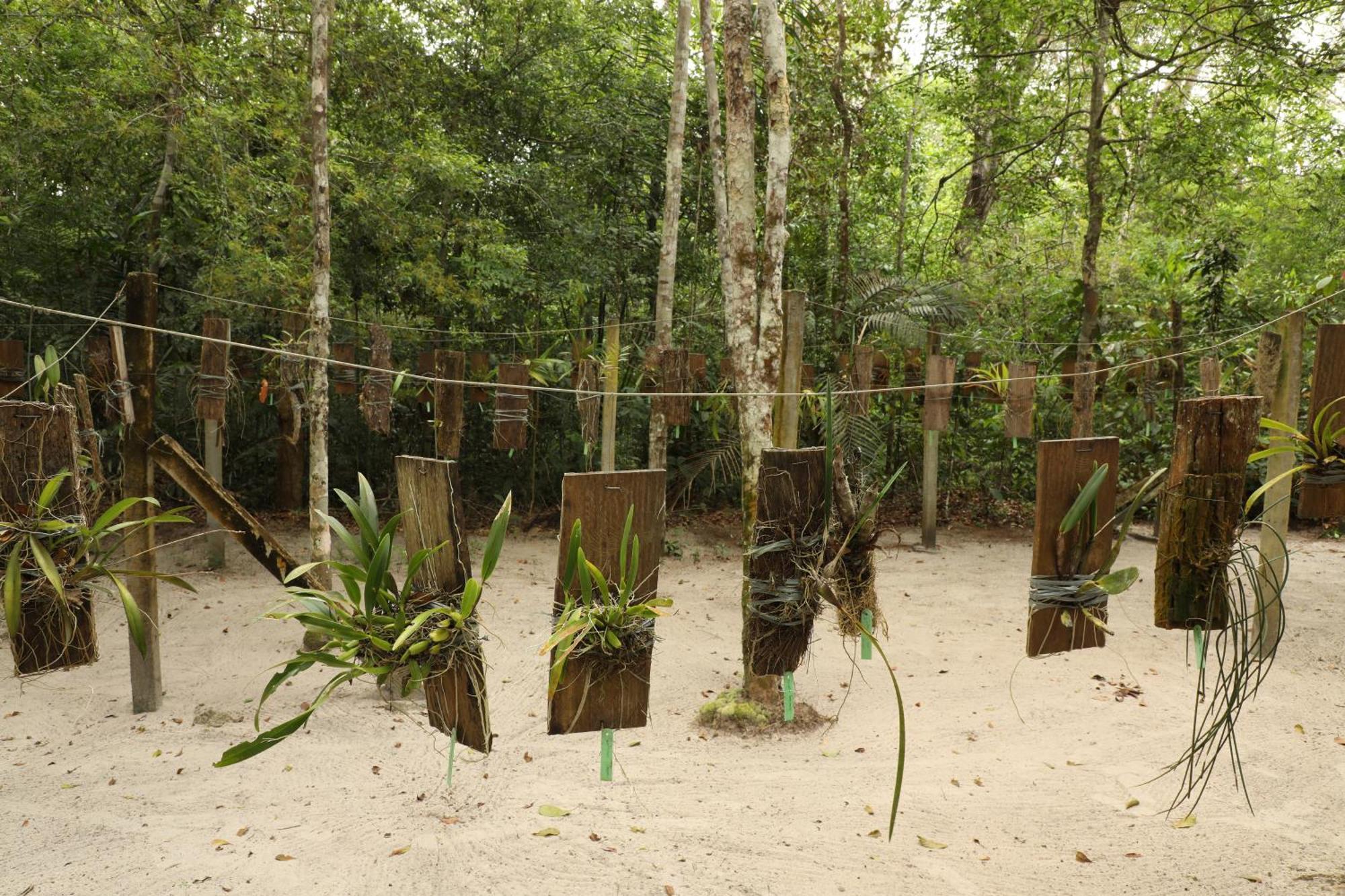 Amazon Ecopark Jungle Lodge Manaus Dış mekan fotoğraf